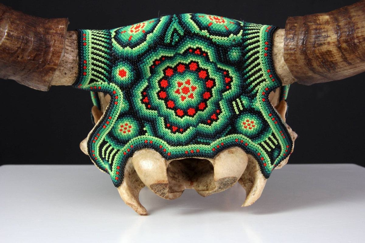 Cráneo de vaca Arte Huichol - Tuutú II - Arte Huichol - Marakame