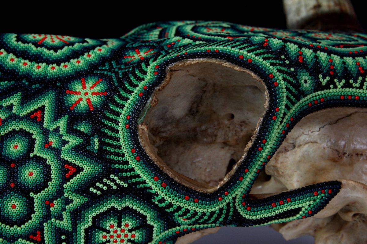 Cráneo de vaca Arte Huichol - Tuutú II - Arte Huichol - Marakame