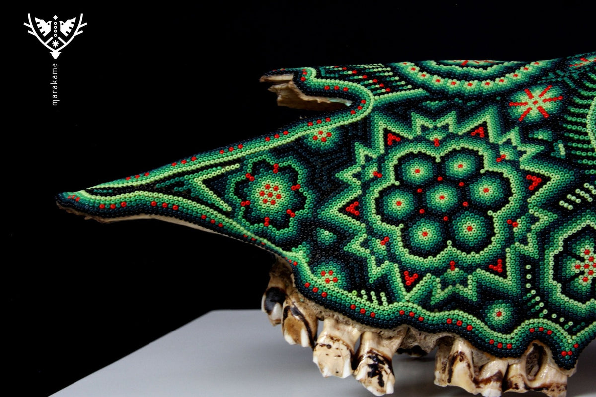 Cráneo de vaca Arte Huichol - Tuutú II - Arte Huichol - Marakame