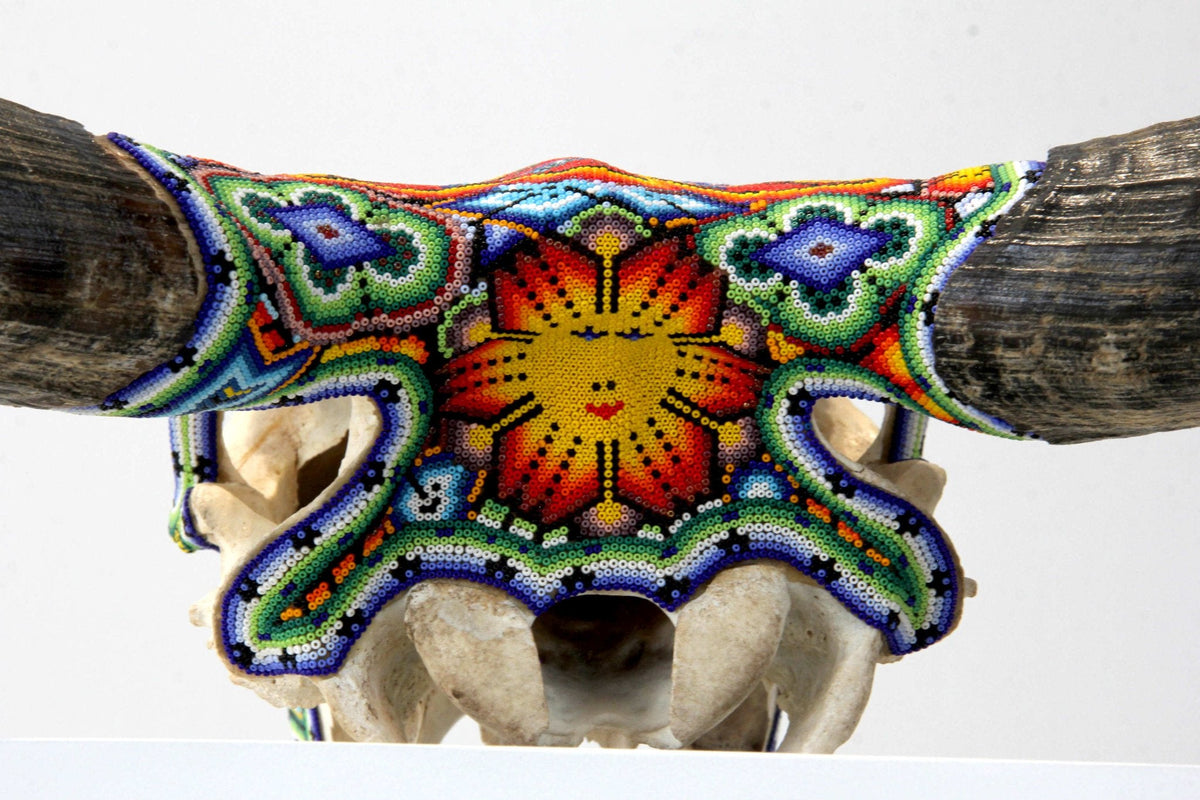 Cráneo de vaca Arte Huichol - Tuutú Iyari - Arte Huichol - Marakame