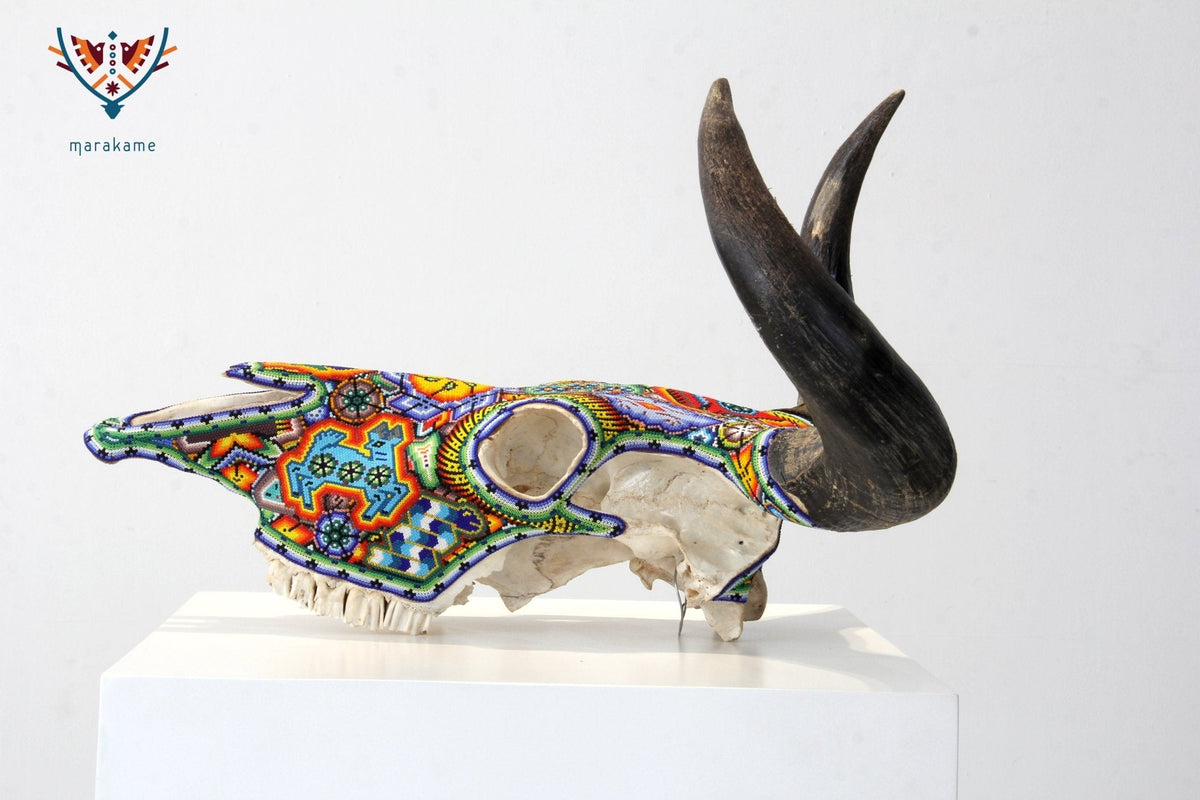 Cráneo de vaca Arte Huichol - Tuutú Iyari - Arte Huichol - Marakame