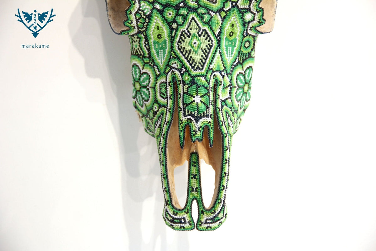 Cráneo de vaca Arte Huichol - Tuutu wexik+a - Arte Huichol - Marakame