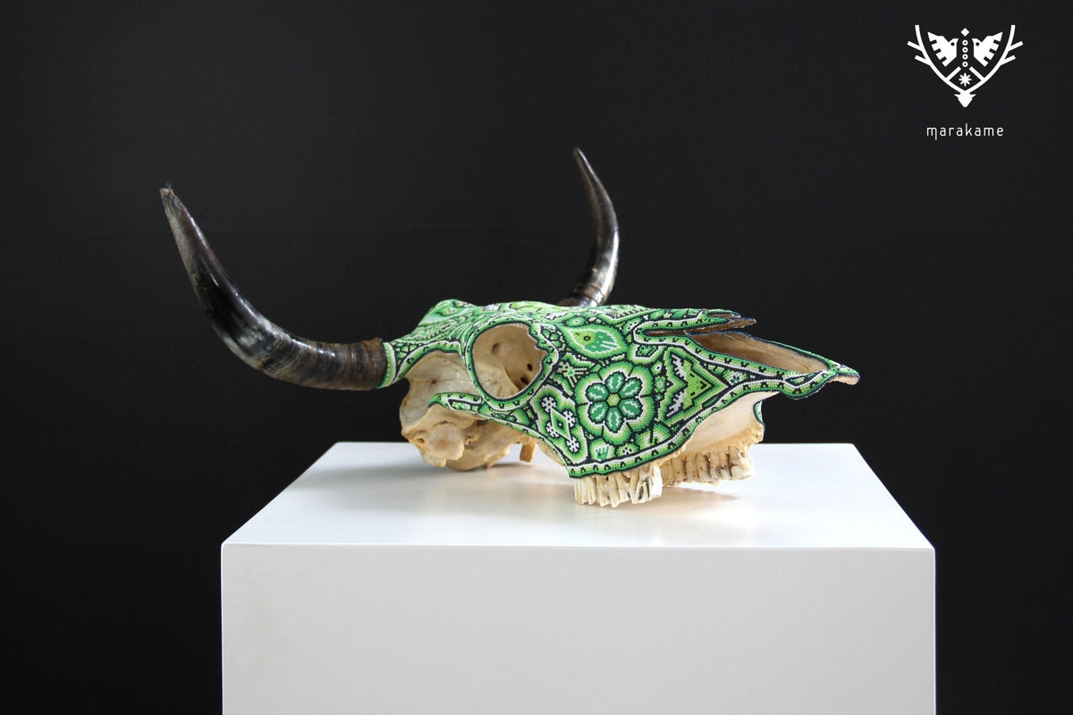Cráneo de vaca Arte Huichol - Tuutu wexik+a - Arte Huichol - Marakame