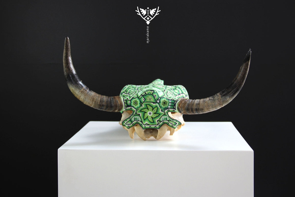 Cráneo de vaca Arte Huichol - Tuutu wexik+a - Arte Huichol - Marakame