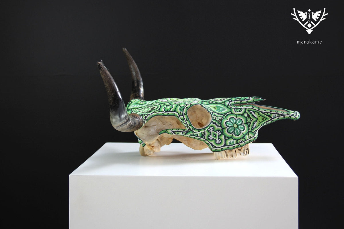 Cráneo de vaca Arte Huichol - Tuutu wexik+a - Arte Huichol - Marakame