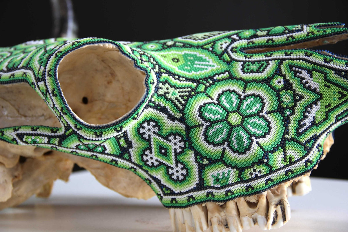 Cráneo de vaca Arte Huichol - Tuutu wexik+a - Arte Huichol - Marakame