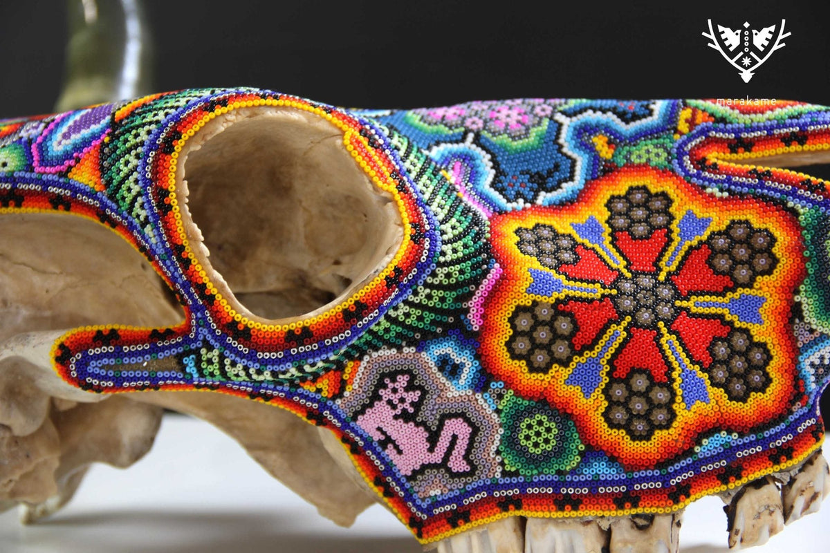 Cráneo de vaca Arte Huichol - Wa x+rikiya - Arte Huichol - Marakame