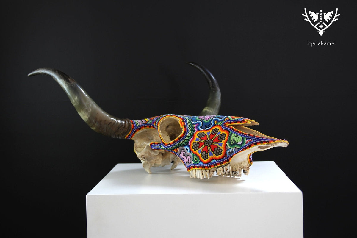 Cráneo de vaca Arte Huichol - Wa x+rikiya - Arte Huichol - Marakame