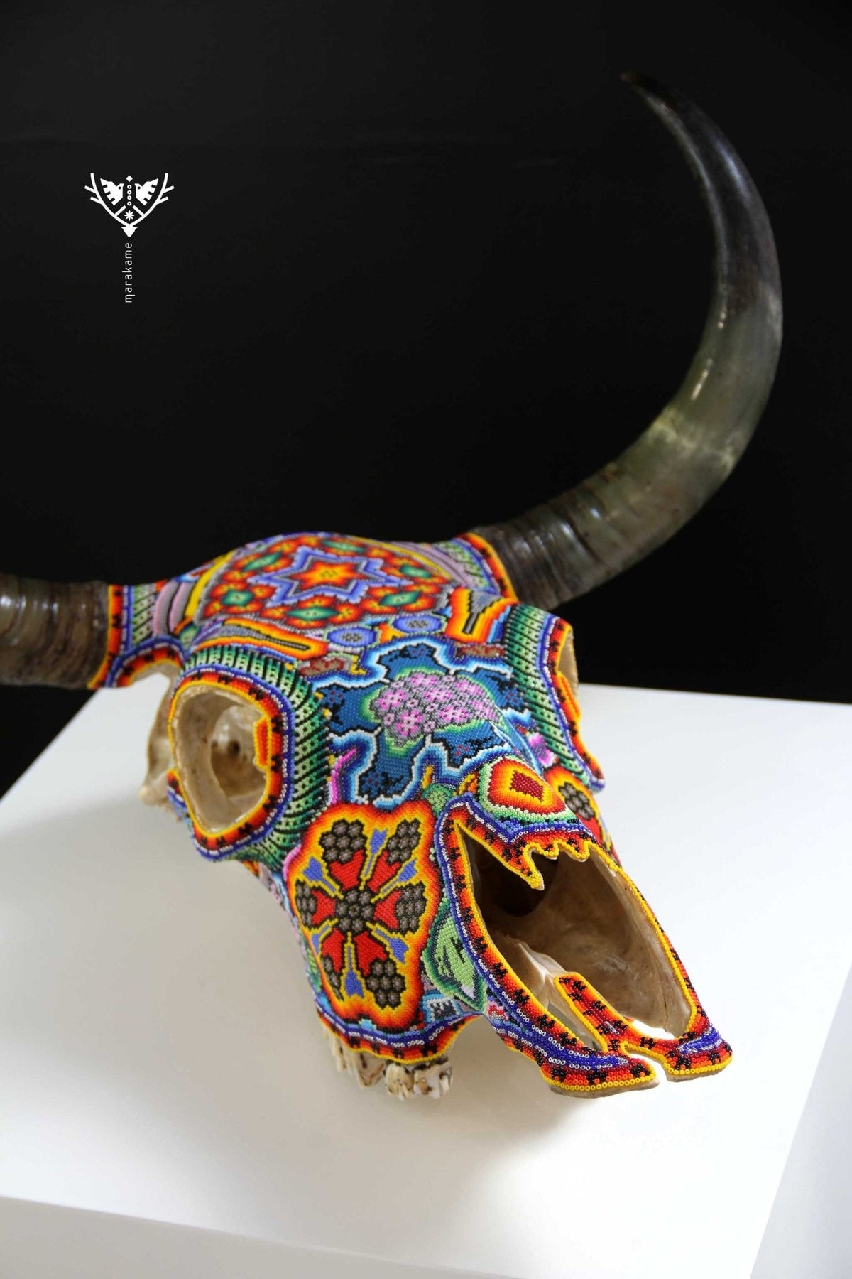 Cráneo de vaca Arte Huichol - Wa x+rikiya - Arte Huichol - Marakame