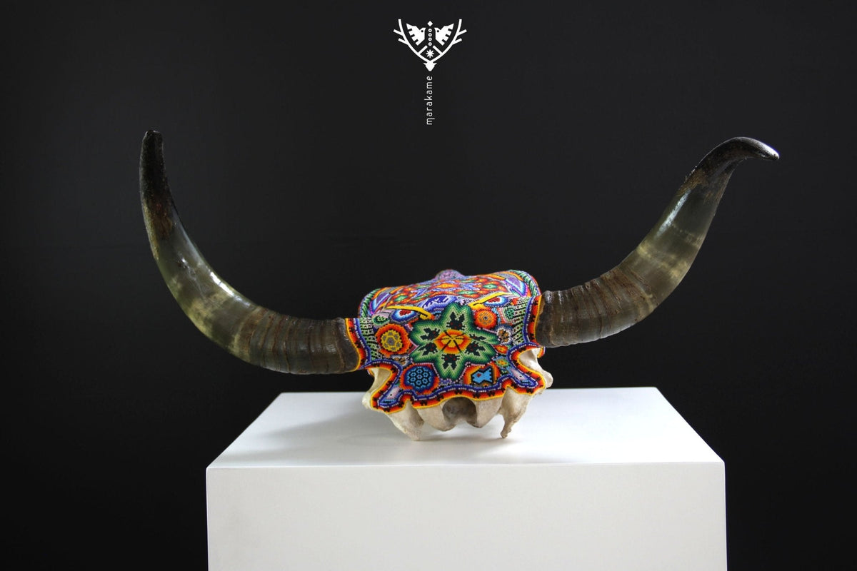 Cráneo de vaca Arte Huichol - Wa x+rikiya - Arte Huichol - Marakame