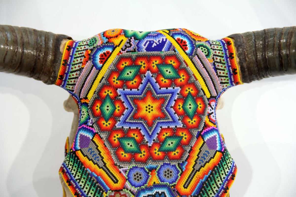 Cráneo de vaca Arte Huichol - Wa x+rikiya - Arte Huichol - Marakame