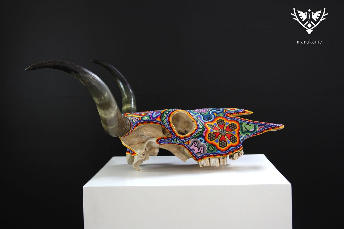 Cráneo de vaca Arte Huichol - Wa x+rikiya - Arte Huichol - Marakame