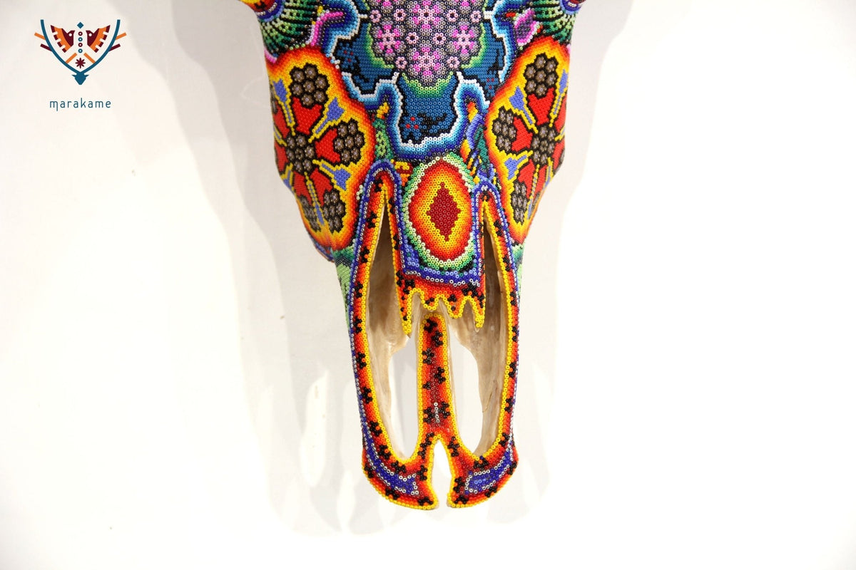 Cráneo de vaca Arte Huichol - Wa x+rikiya - Arte Huichol - Marakame
