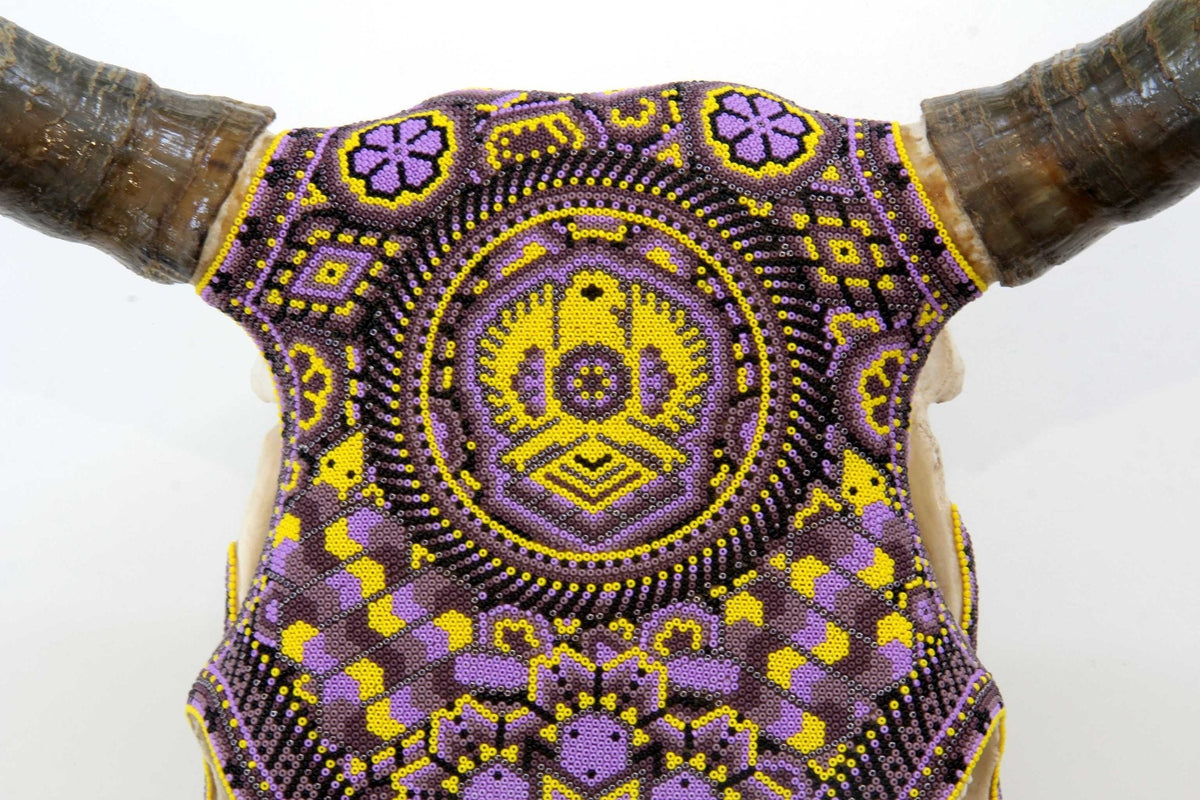 Cráneo de vaca Arte Huichol - Werika amarilla - Arte Huichol - Marakame