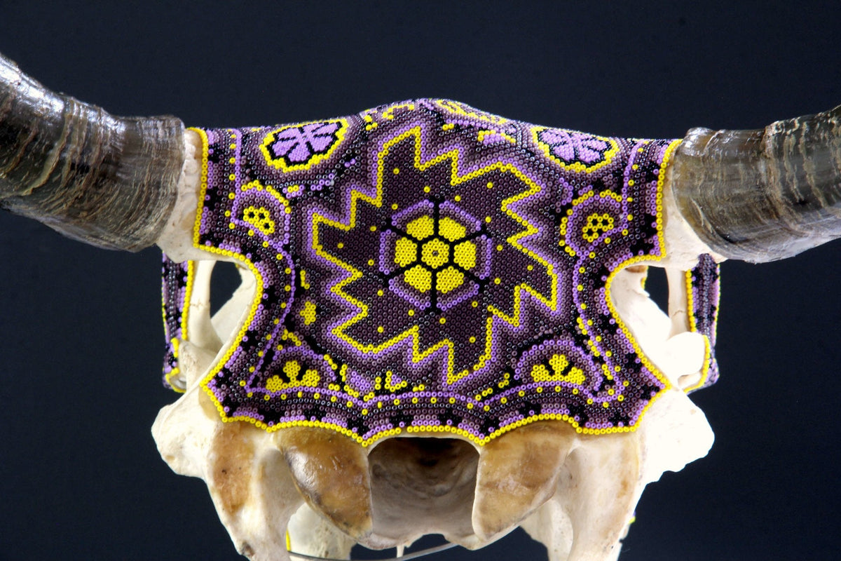 Cráneo de vaca Arte Huichol - Werika amarilla - Arte Huichol - Marakame