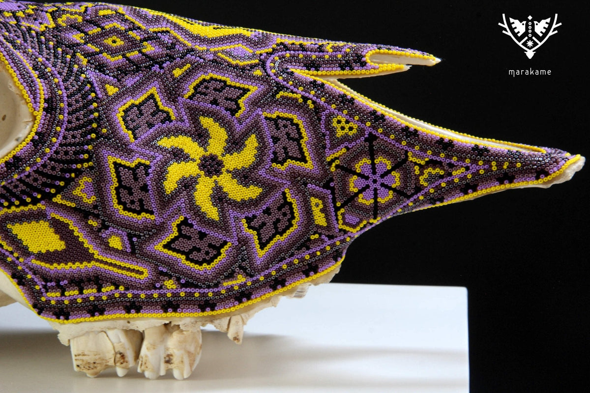 Cráneo de vaca Arte Huichol - Werika amarilla - Arte Huichol - Marakame