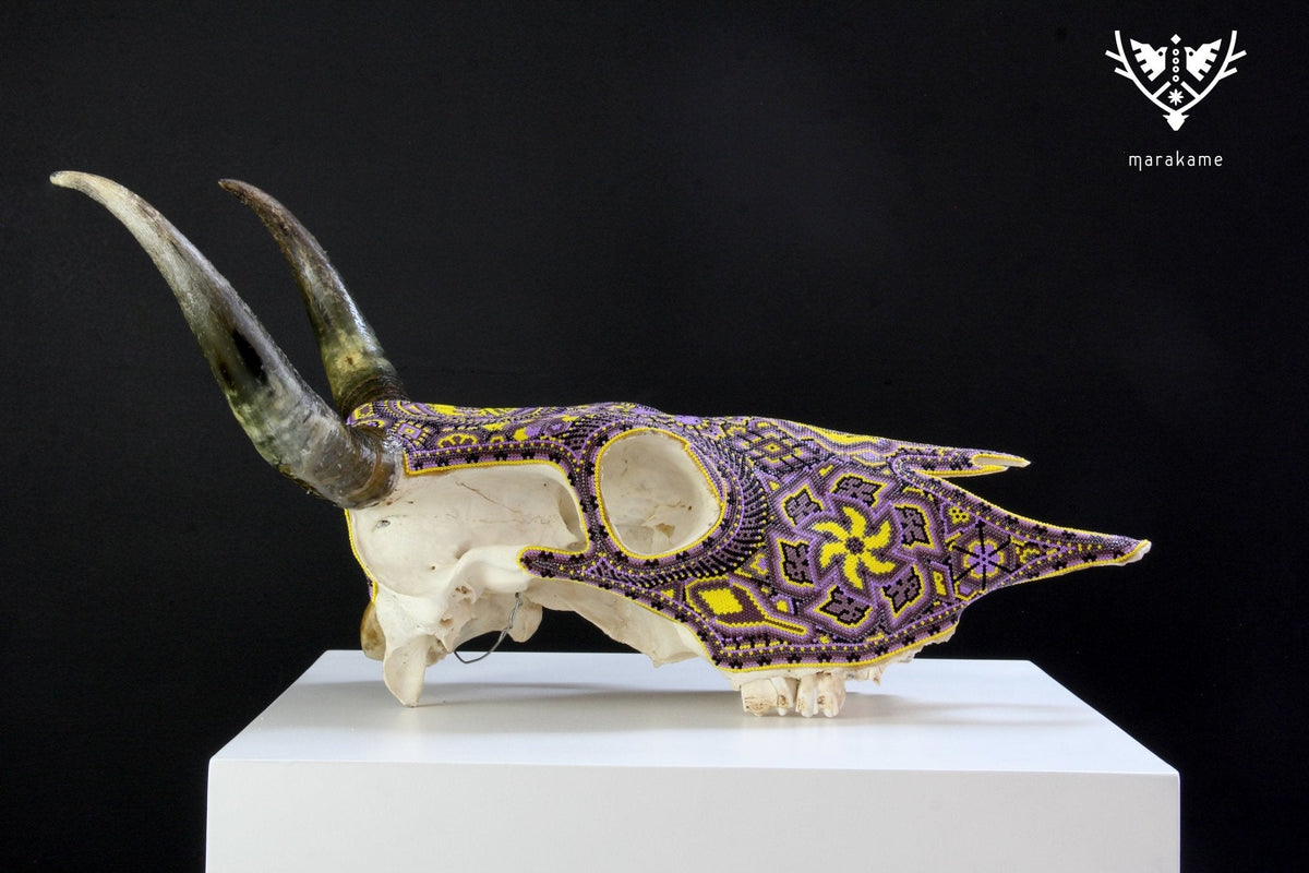 Cráneo de vaca Arte Huichol - Werika amarilla - Arte Huichol - Marakame