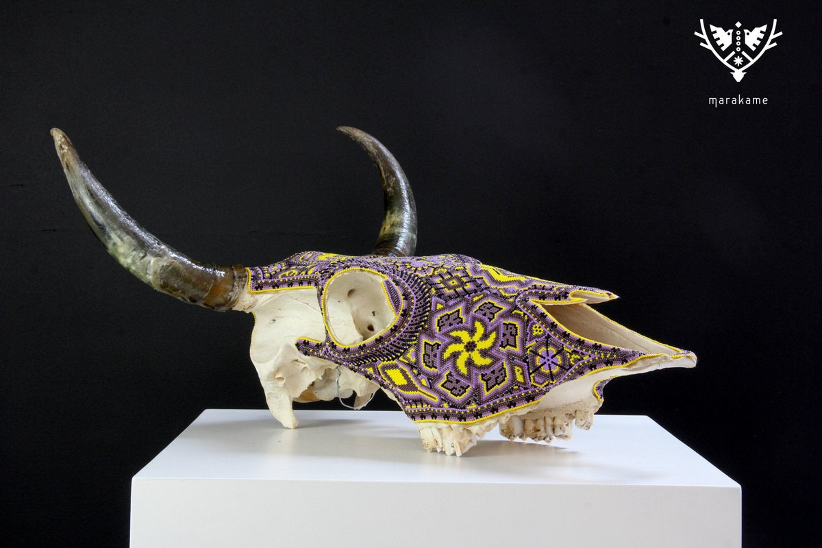 Cráneo de vaca Arte Huichol - Werika amarilla - Arte Huichol - Marakame