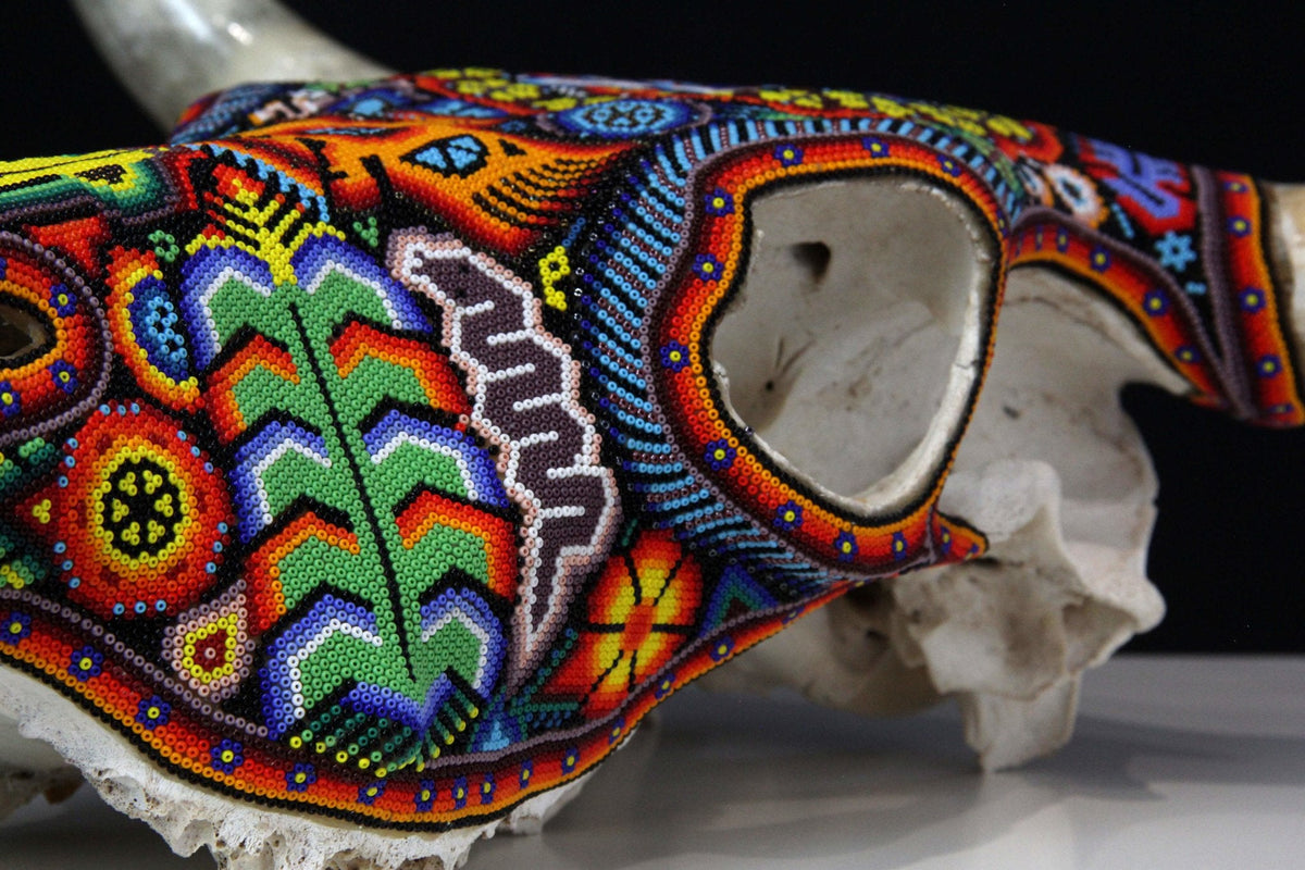 Craneo de vaca Arte Huichol - Wexik+a - Arte Huichol - Marakame
