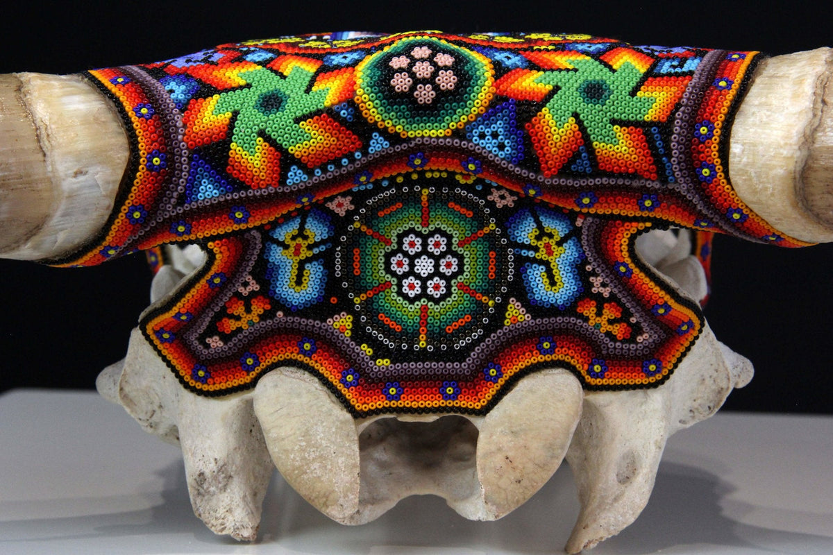 Craneo de vaca Arte Huichol - Wexik+a - Arte Huichol - Marakame