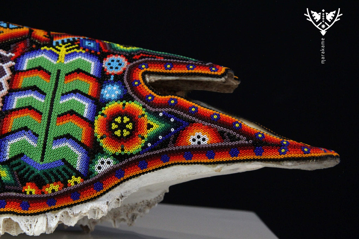 Craneo de vaca Arte Huichol - Wexik+a - Arte Huichol - Marakame