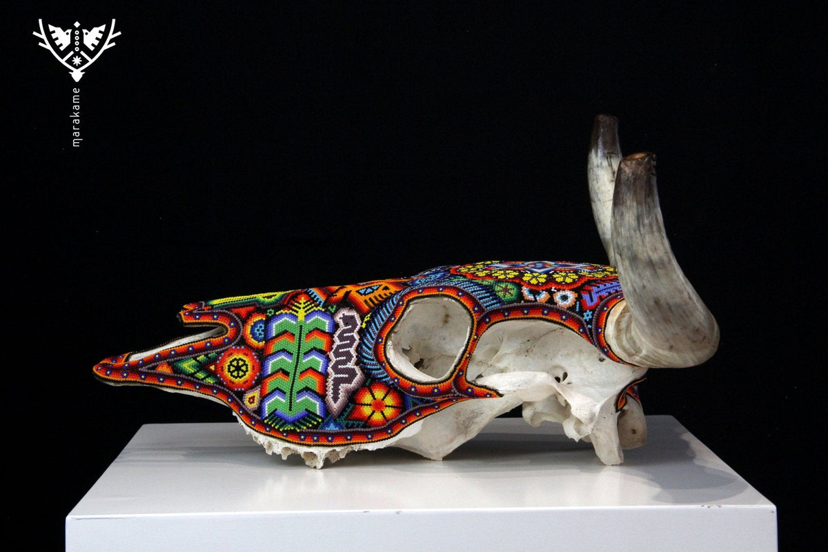 Craneo de vaca Arte Huichol - Wexik+a - Arte Huichol - Marakame