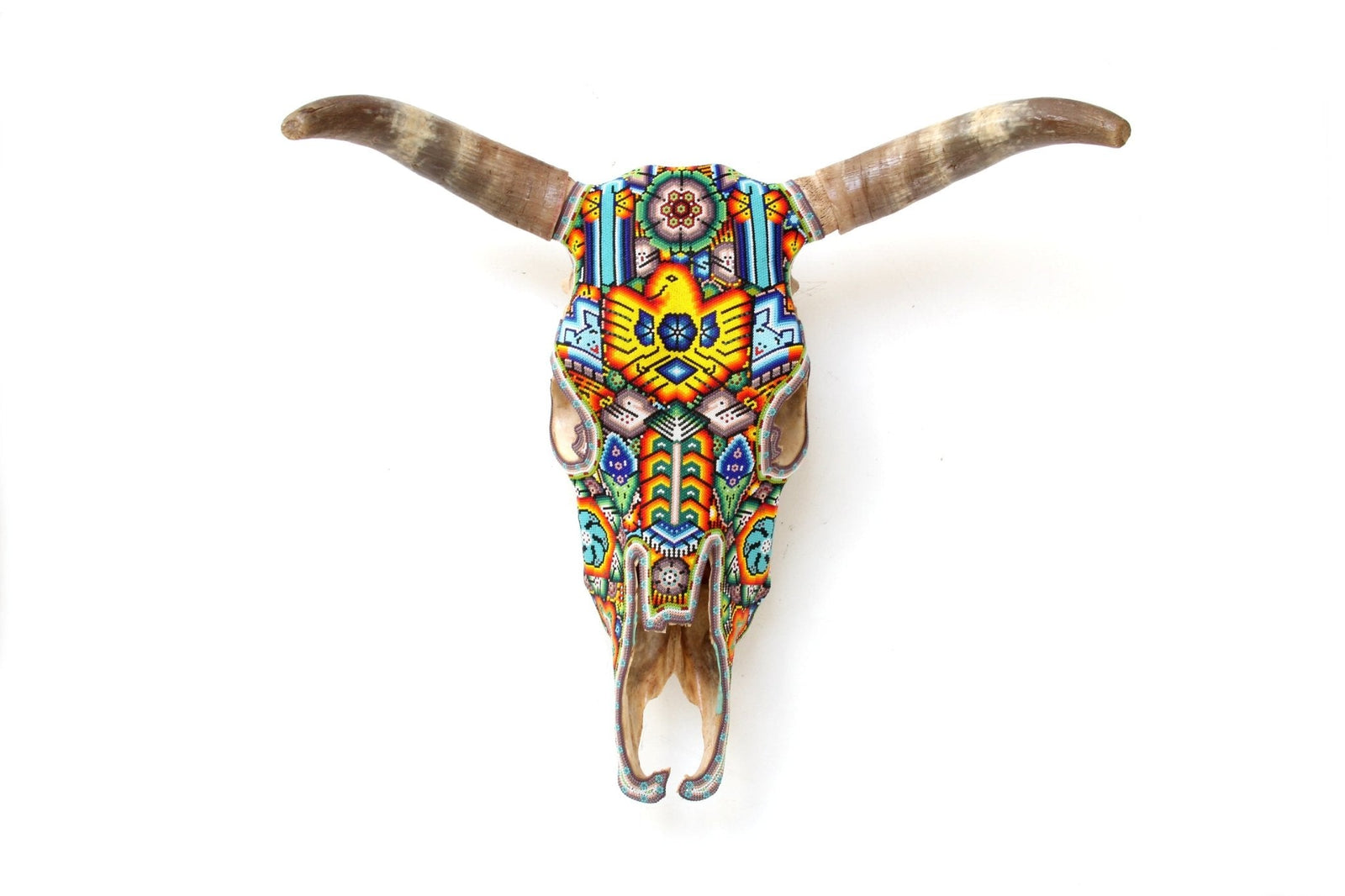 Cráneo de vaca Arte Huichol - Wexikia - Arte Huichol - Marakame