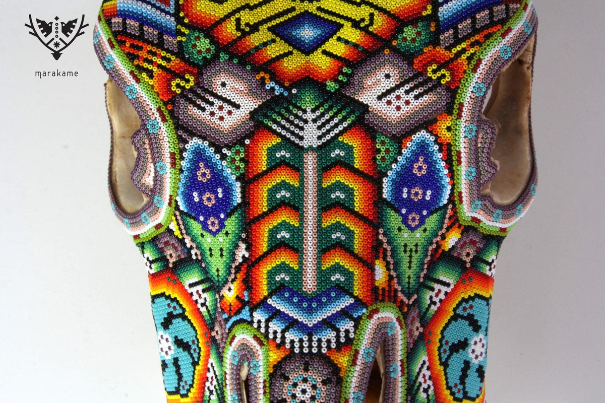 Cráneo de vaca Arte Huichol - Wexikia - Arte Huichol - Marakame