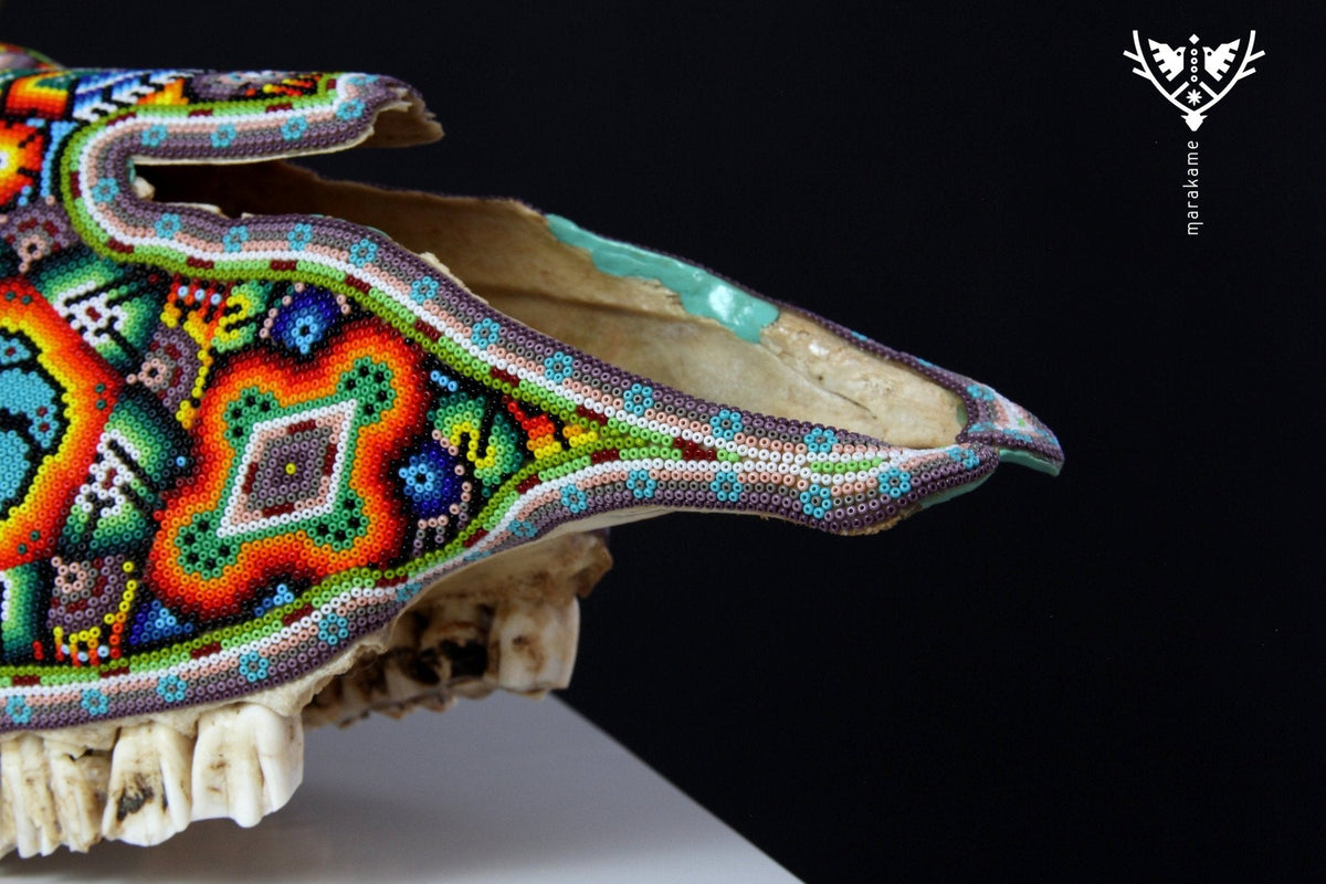 Cráneo de vaca Arte Huichol - Wexikia - Arte Huichol - Marakame