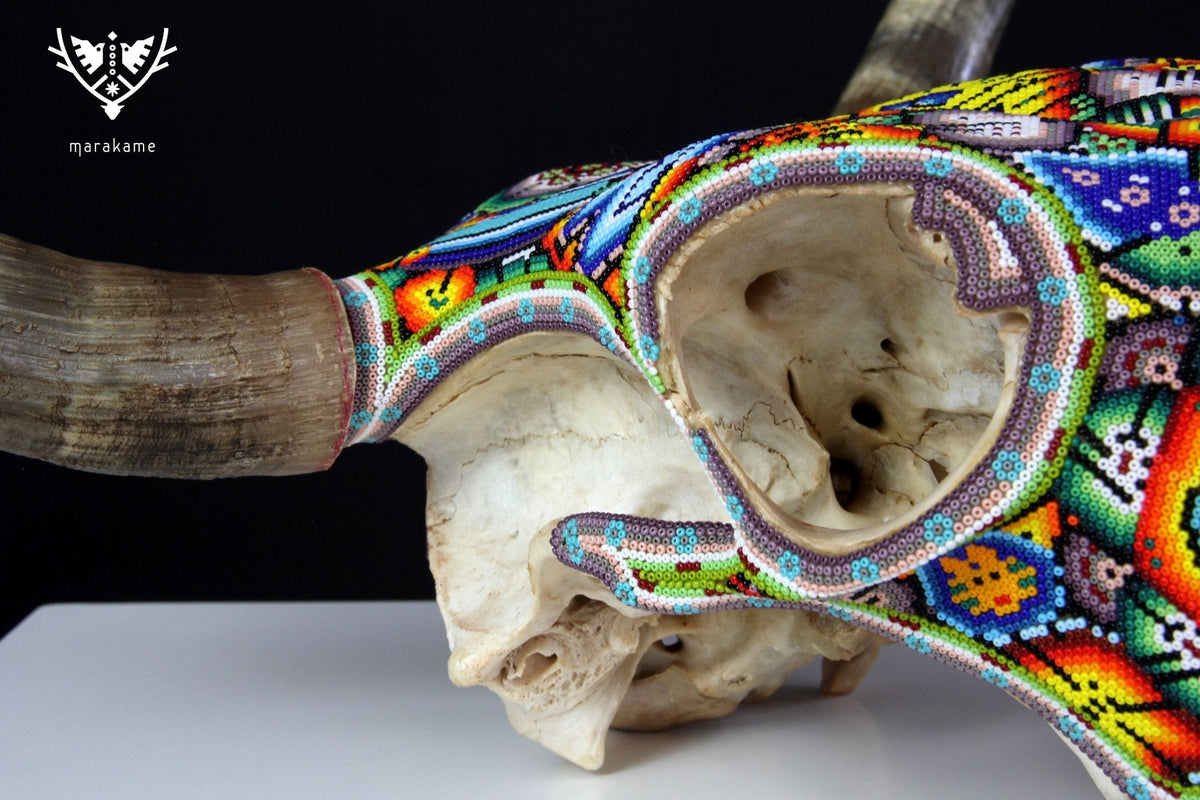 Cráneo de vaca Arte Huichol - Wexikia - Arte Huichol - Marakame