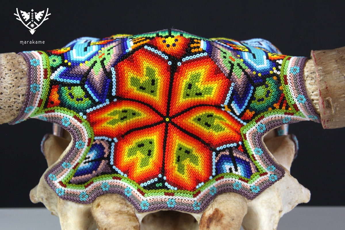 Cráneo de vaca Arte Huichol - Wexikia - Arte Huichol - Marakame