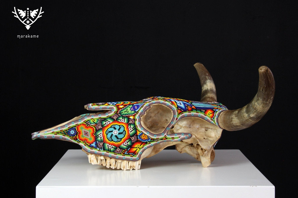 Cráneo de vaca Arte Huichol - Wexikia - Arte Huichol - Marakame