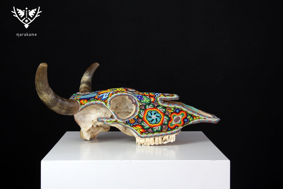 Cráneo de vaca Arte Huichol - Wexikia - Arte Huichol - Marakame