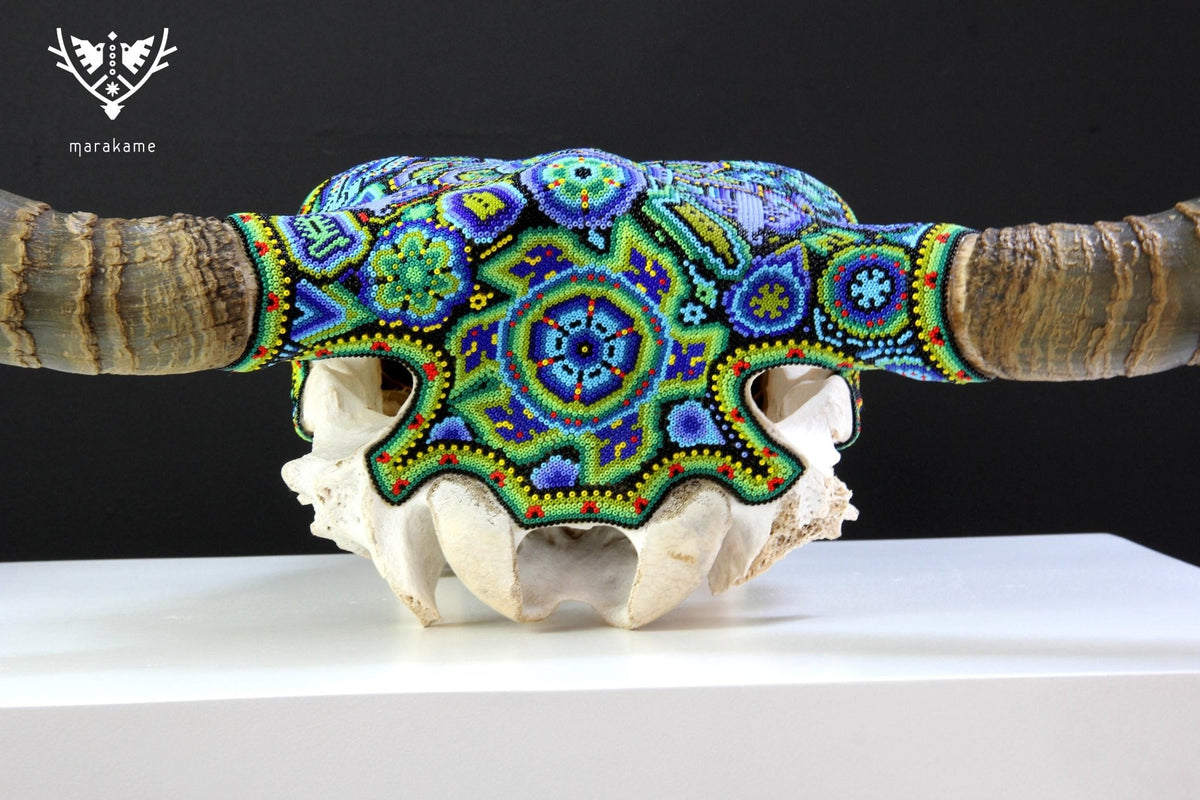Cráneo de vaca Arte Huichol - Wexikia Hikuri - Arte Huichol - Marakame
