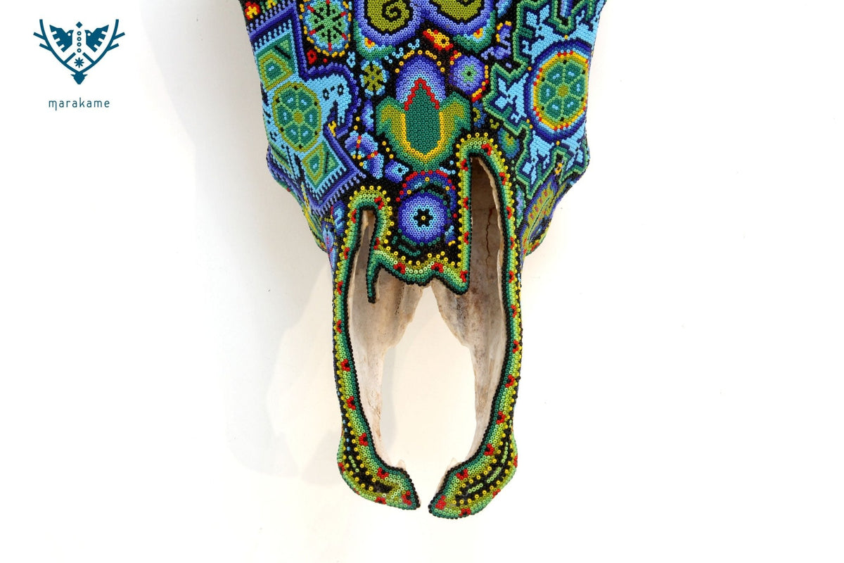 Cráneo de vaca Arte Huichol - Wexikia Hikuri - Arte Huichol - Marakame