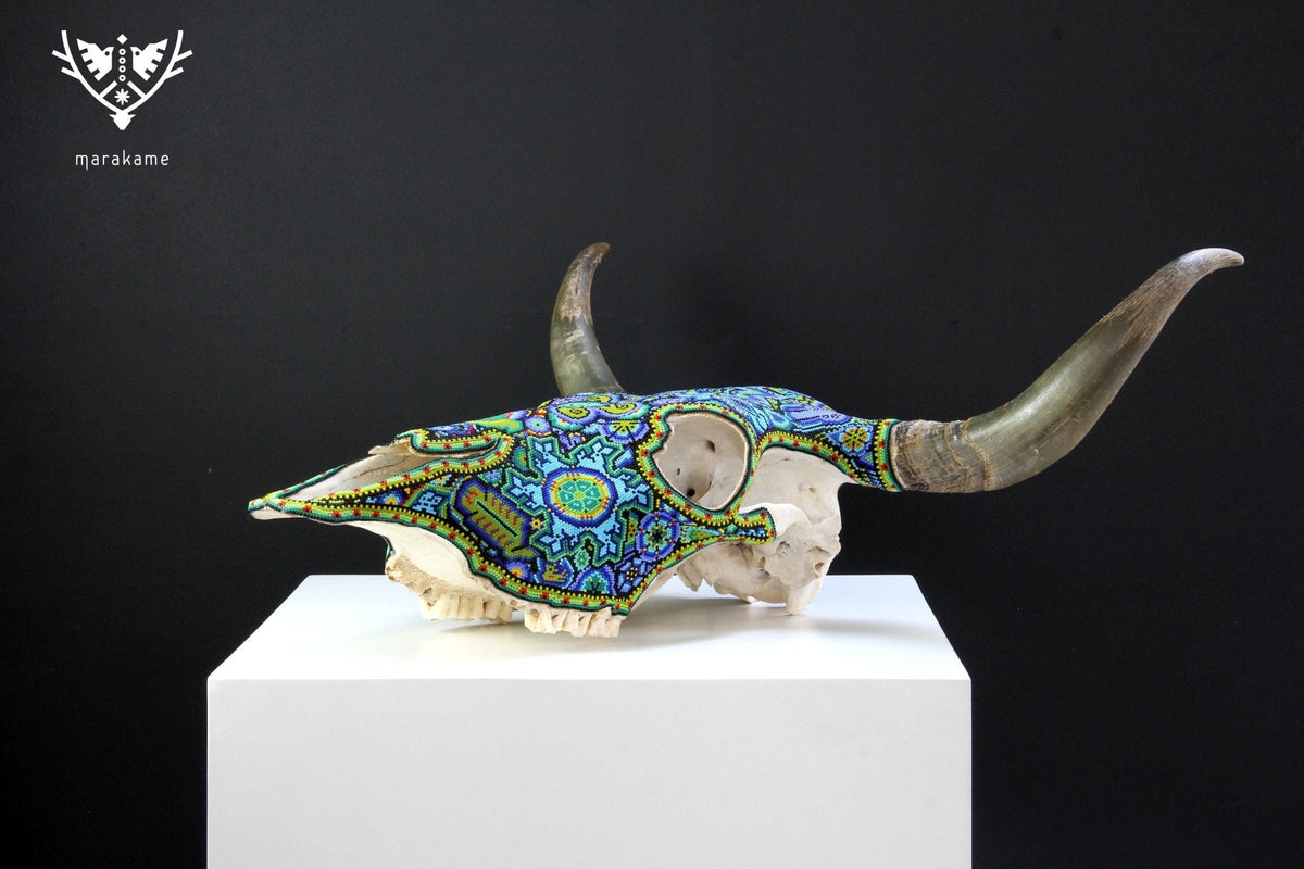 Cráneo de vaca Arte Huichol - Wexikia Hikuri - Arte Huichol - Marakame