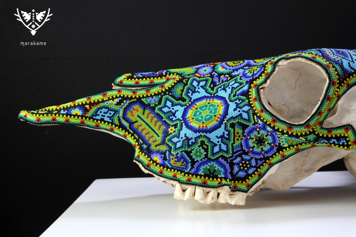 Cráneo de vaca Arte Huichol - Wexikia Hikuri - Arte Huichol - Marakame