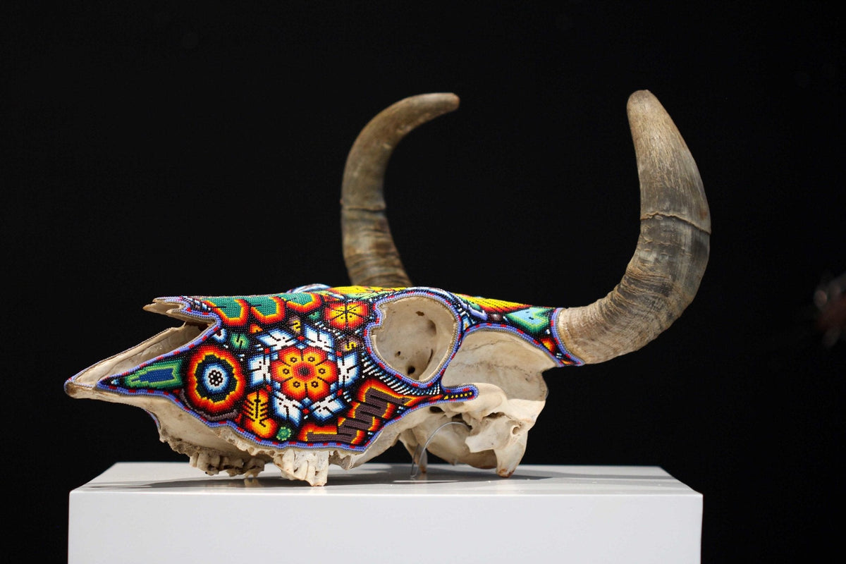 Cráneo de vaca Arte Huichol - Wexikia III - Arte Huichol - Marakame