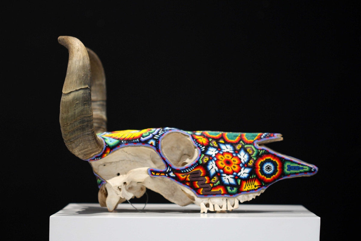 Cráneo de vaca Arte Huichol - Wexikia III - Arte Huichol - Marakame