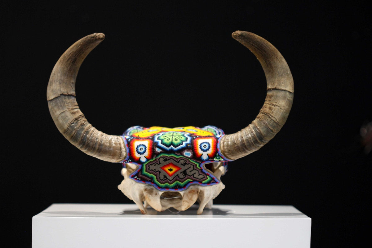 Cráneo de vaca Arte Huichol - Wexikia III - Arte Huichol - Marakame