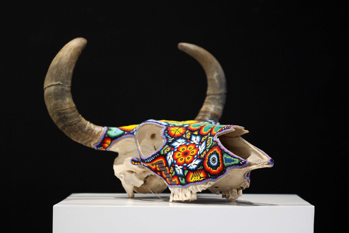 Cráneo de vaca Arte Huichol - Wexikia III - Arte Huichol - Marakame