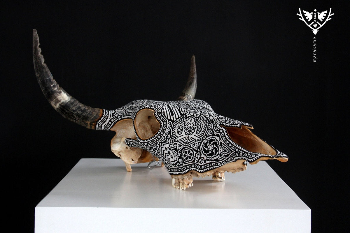 Cráneo de vaca Arte Huichol - Xikiri I - Arte Huichol - Marakame