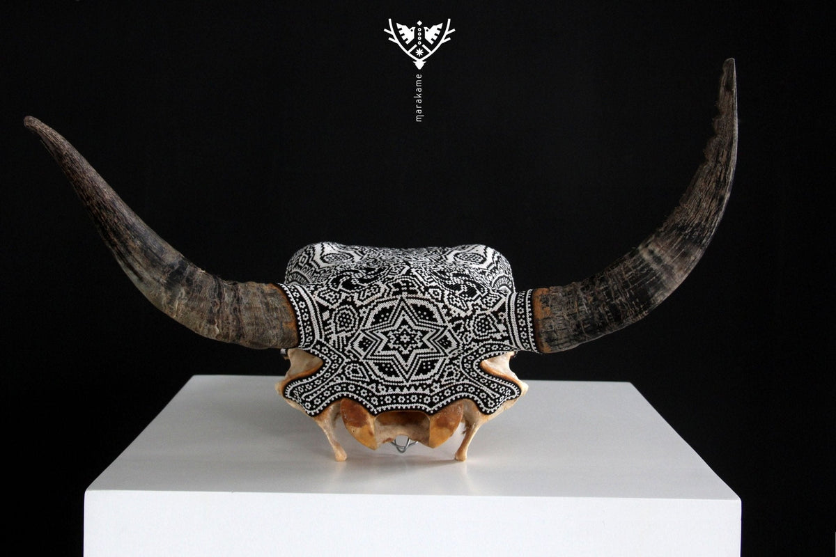 Cráneo de vaca Arte Huichol - Xikiri I - Arte Huichol - Marakame