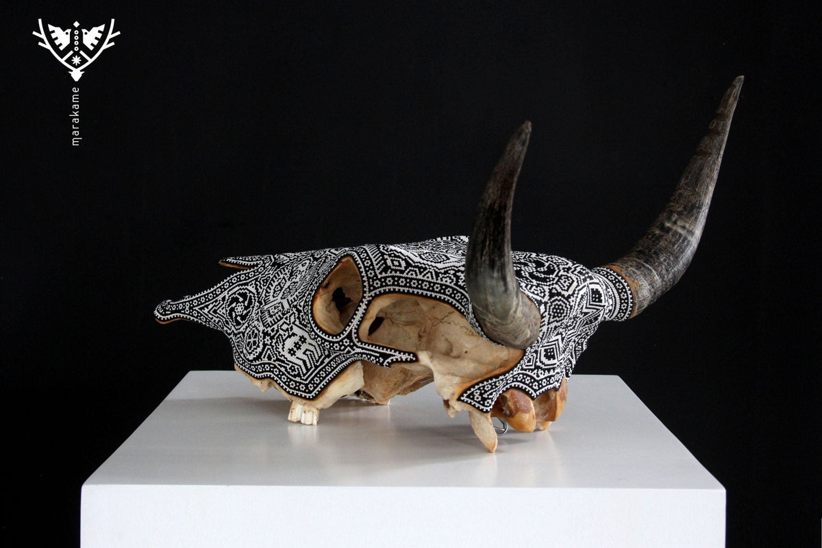 Cráneo de vaca Arte Huichol - Xikiri I - Arte Huichol - Marakame