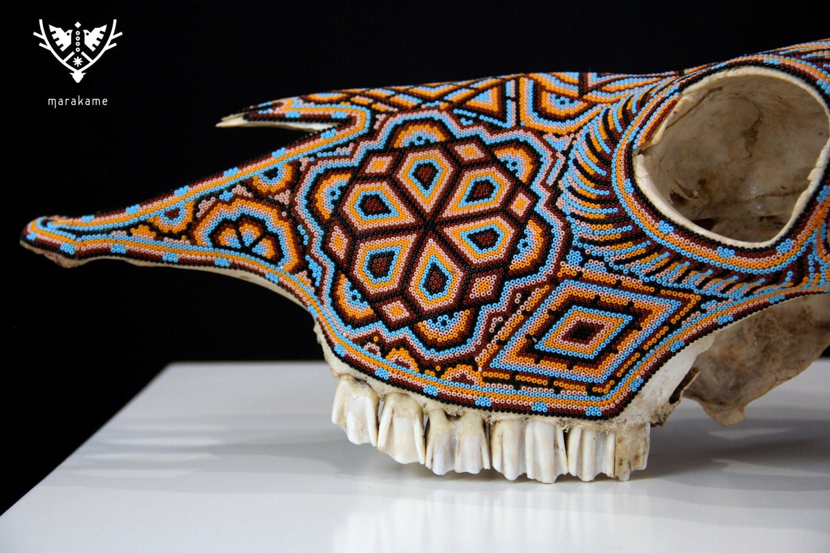 Cráneo de vaca Arte Huichol - Xurawe - Arte Huichol - Marakame