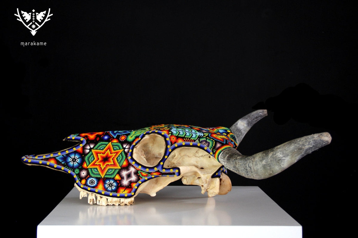 Cráneo de vaca Arte Huichol - Xurawe - Arte Huichol - Marakame
