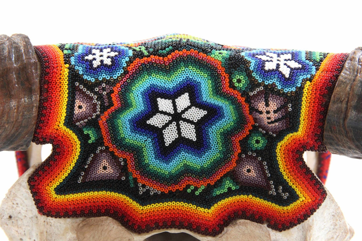 Cráneo de vaca Arte Huichol - Xurawe - Arte Huichol - Marakame