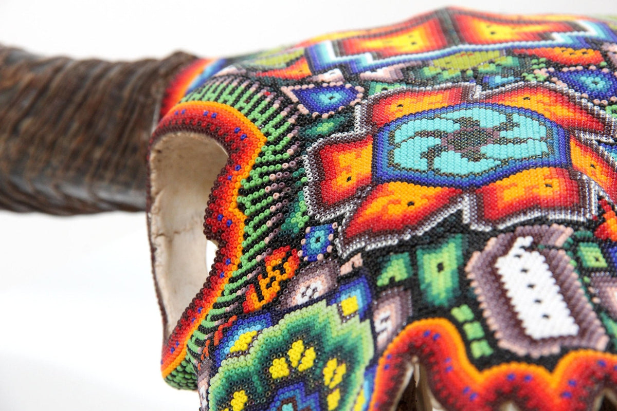 Cráneo de vaca Arte Huichol - Xurawe - Arte Huichol - Marakame