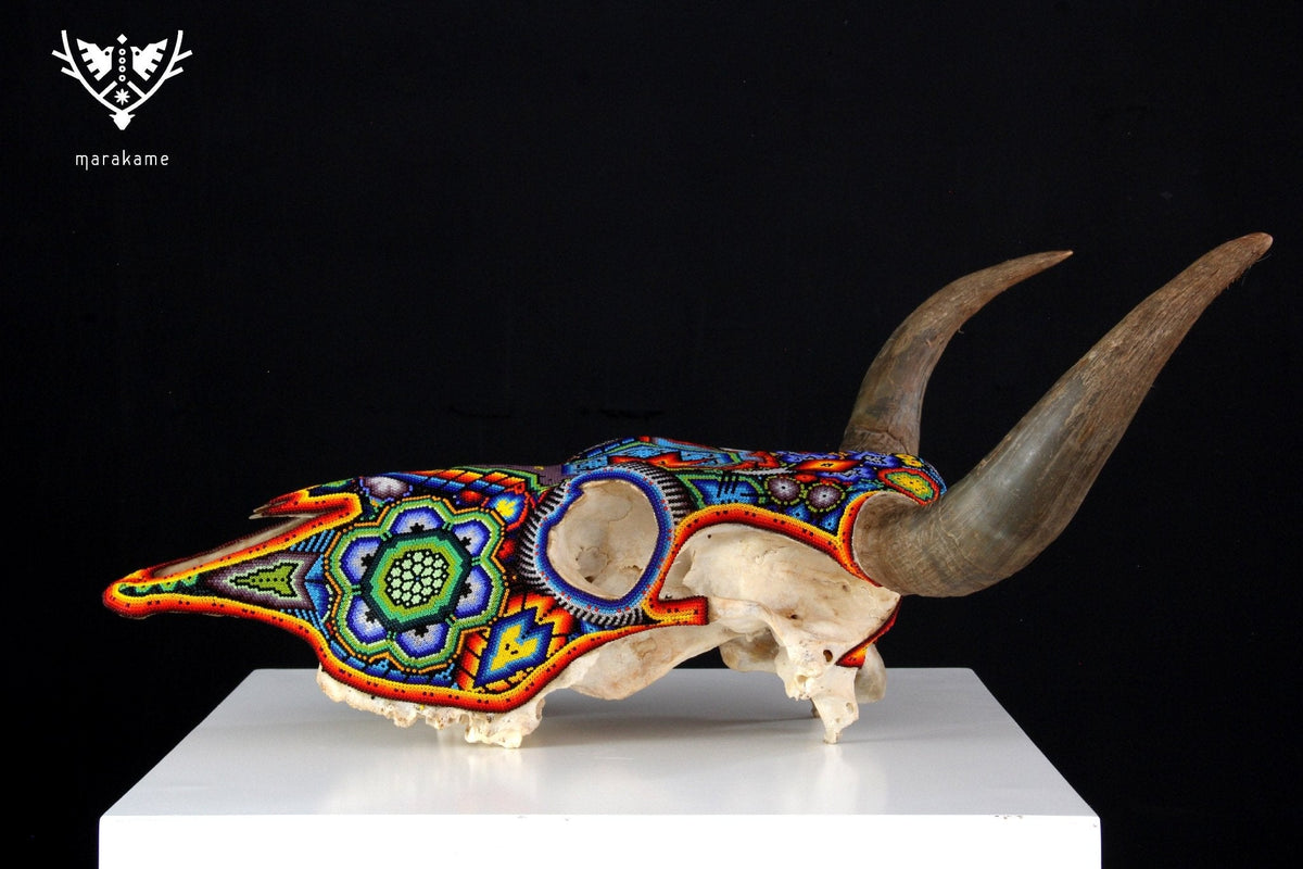 Cráneo de vaca Arte Huichol - Xurawe - Arte Huichol - Marakame