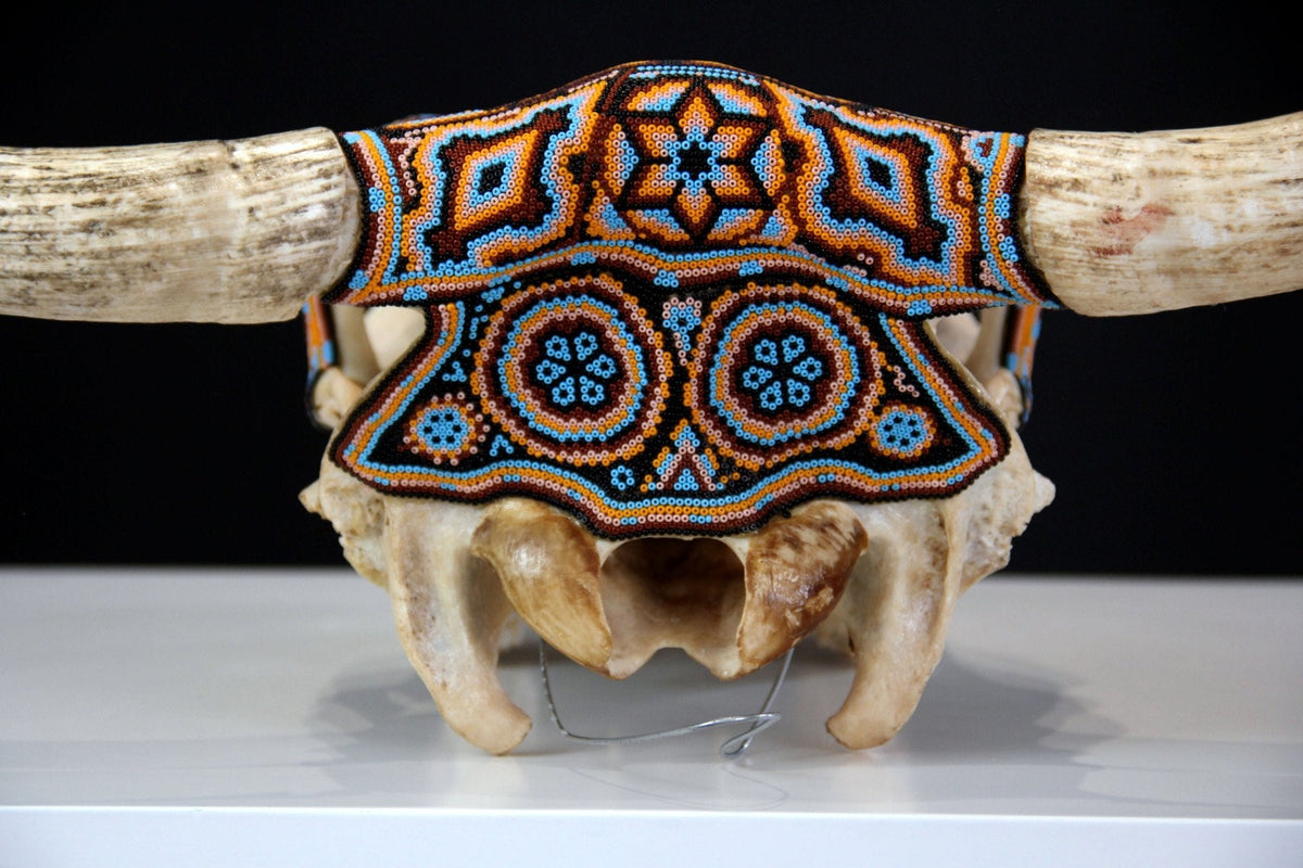 Cráneo de vaca Arte Huichol - Xurawe - Arte Huichol - Marakame